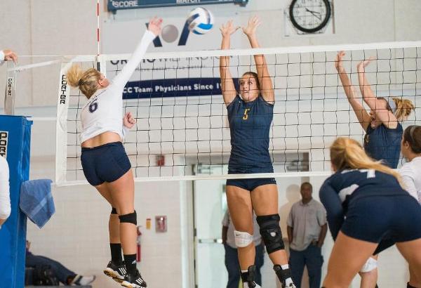 Sea Devils Volleyball Team Shuts Out Lenoir