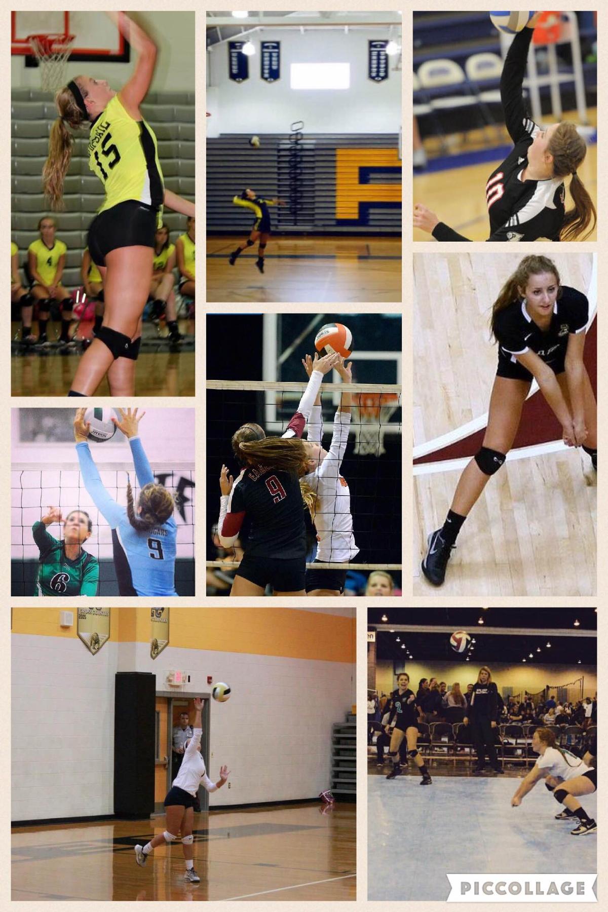 Cape Fear Lady Sea Devil Volleyball's New Signees