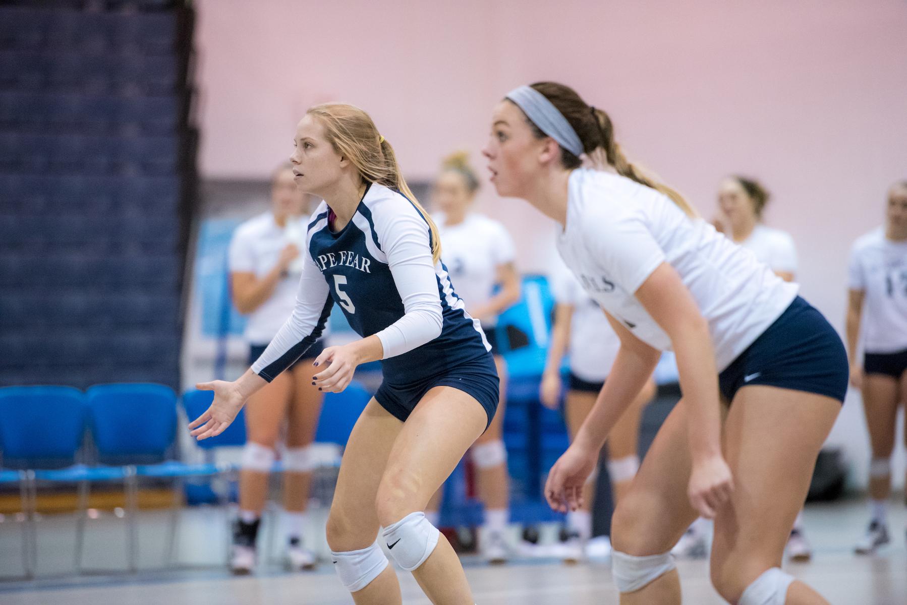 Cape Fear Women's Volleyball Continues Winning Ways